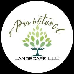 Pro Natural Landscape LLC offers high-quality, eco-friendly landscaping services in El Mirage, AZ, for over a decade.