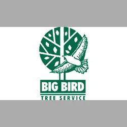 Big Bird Tree Service, Inc. offers expert tree care including removal, trimming, and stump grinding 24/7 in the DFW area.