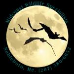 Professional wildlife removal specialists in Maine with over 20 years of experience and a 1-year warranty on services.