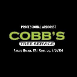 Expert tree care services in Nipomo & Arroyo Grande, CA with over 32 years of experience.