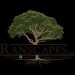 Expert landscape services with 100+ years of experience, specializing in eco-smart solutions in California.