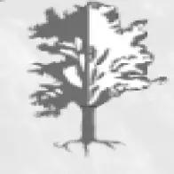 Professional tree care services in Oak Harbor, Anacortes & Mt. Vernon, WA, specializing in removal, pruning, and stump grinding.