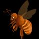 Expert bee rescue and removal services in Santa Barbara, committed to saving bees since 2009.