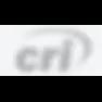 CRI: 30 years of security, IT, and management solutions for government & commercial clients, empowering mission success.