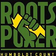Roots Power provides innovative energy solutions with strong customer commitment and a unique professional journey.