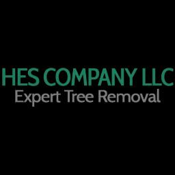 Expert tree services in Virginia with 20 years of experience, committed to safe and professional care.