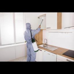 Midwest Bug Busters LLC offers top-rated pest control services in Fond du Lac, WI, for residential and commercial clients.