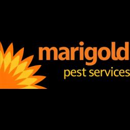 Marigold Pest Services: Local, eco-friendly pest control in Middle Tennessee, focused on honesty and customer care.
