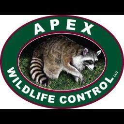 Apex Wildlife Control provides humane wildlife removal services in Memphis, TN, ensuring safety and property protection.