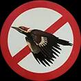 Leading provider of foam molding repair and woodpecker proofing in Florida since 2004.