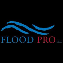 Flood Pro: Expert water, fire damage restoration & mold removal services for homes and businesses.