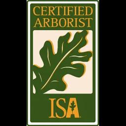 Coastal Arbor provides expert tree care services, including trimming, removal, and landscaping for residential and commercial clients.