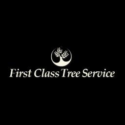 Trusted tree services in Oxnard, CA, specializing in residential, commercial, and industrial needs.