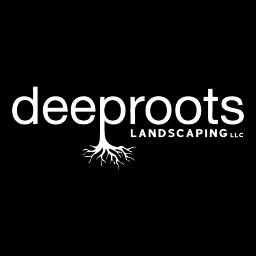 Deep Roots Landscaping offers expert landscaping services focusing on native plants, irrigation, and hardscaping in Northern Arizona.