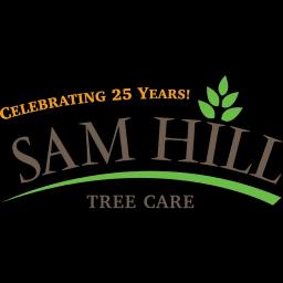 Expert tree and plant care services with 25 years of local expertise in Texas landscapes.