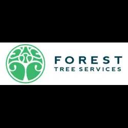 Expert tree care services in Santa Rosa, CA, offering residential and commercial solutions by certified arborists.