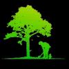 Emma Tree Service offers expert landscaping and tree care in San Diego, with over 30 years of dedicated service.