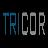 Tricor specializes in construction and renovations for build-to-rent homes, serving institutional investors across various states.