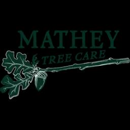 Expert tree care and consulting services in Oakland, CA, focusing on health and safety of trees for homes and communities.