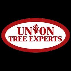 Family-owned tree service in NC, specializing in tree removal, trimming, stump grinding, and land clearing since 2014.