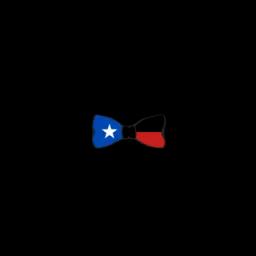 Bow Tie Plumbing offers quality plumbing services for residential and commercial clients in DFW, TX, with a focus on integrity and customer satisfaction.