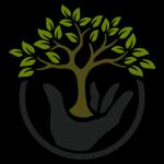 Fronds Palm Trimmers offers expert palm tree trimming and removal services in Mesa, AZ, ensuring healthy and attractive trees.