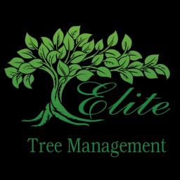 Elite Tree Management offers expert tree services in Portage & Valparaiso, IN, ensuring your landscape is well-maintained.