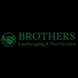 Experienced tree care services enhancing safety and beauty across Belfair, WA, with 24/7 emergency support.