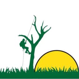 Our team of certified arborists and experienced professionals is equipped to handle any tree-related needs you may have.