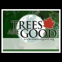 High Mountain Arborist offers eco-friendly land stewardship, specializing in tree care and trail construction since 2013.