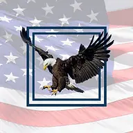 VETERAN DEVELOPMENT AND CONSTRUCTION LLC