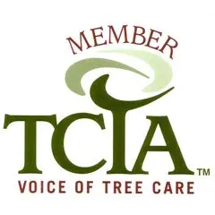 Hackett's Tree Service