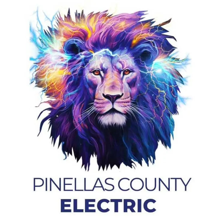 Pinellas County Electric