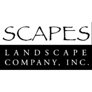 SCAPES INC