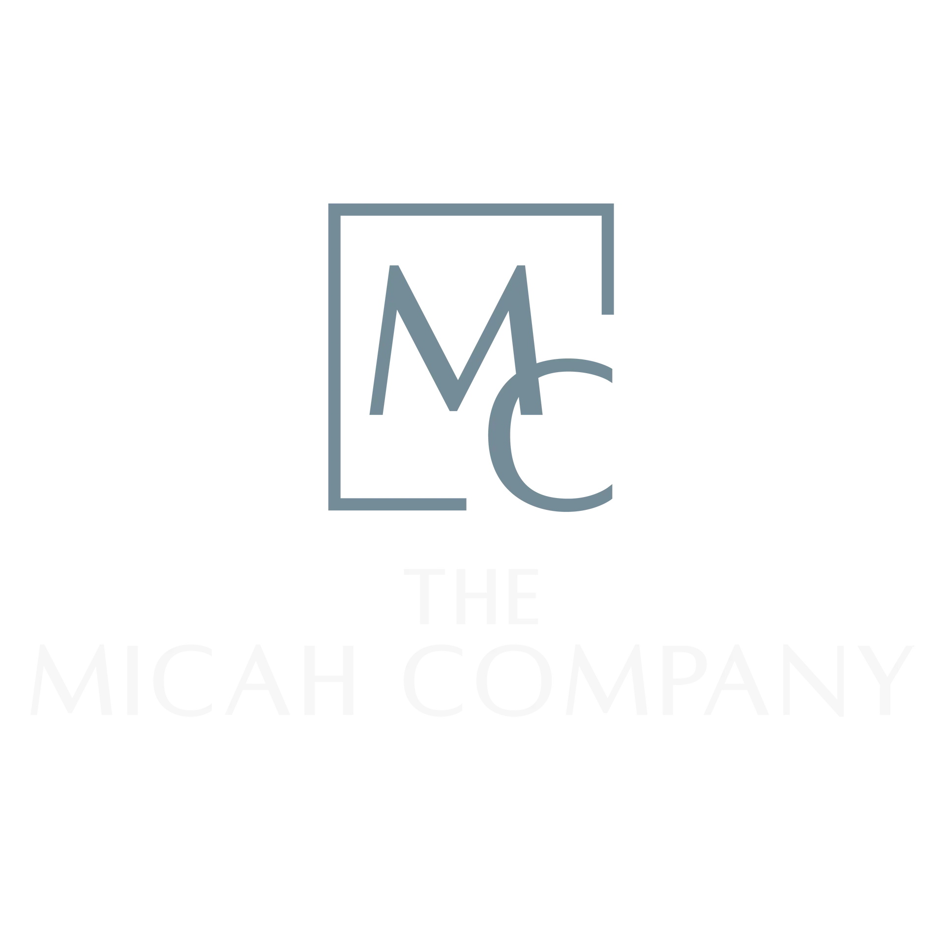 THE MICAH COMPANY