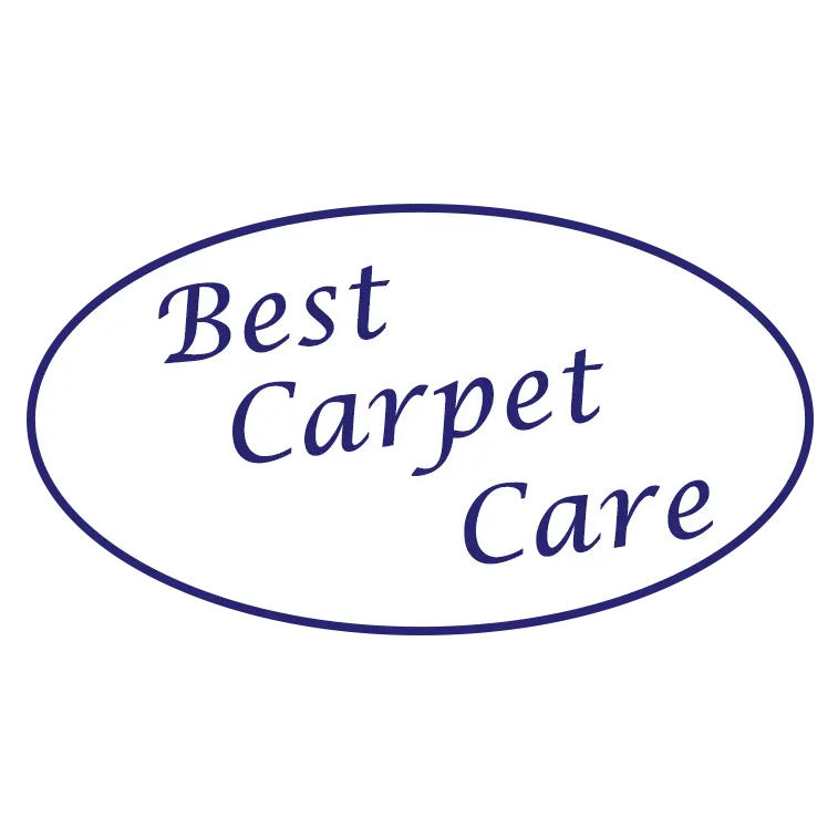 Best Carpet Care