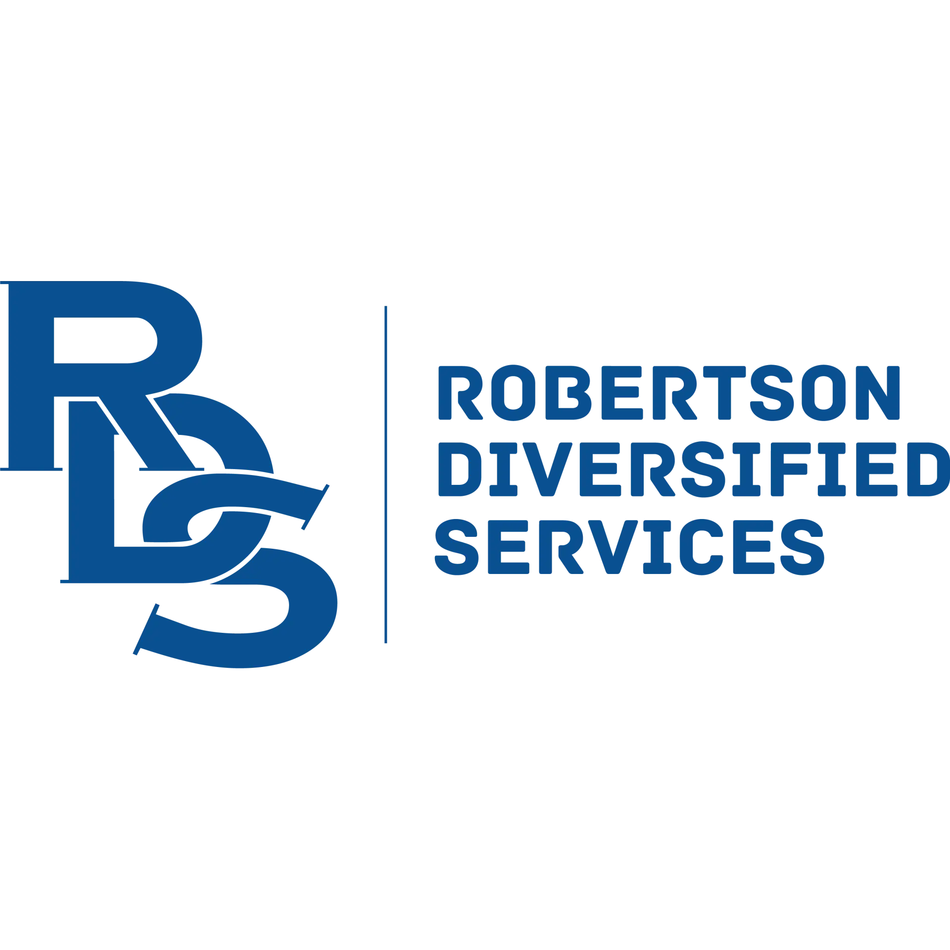 ROBERTSON DIVERSIFIED SERVICES INC