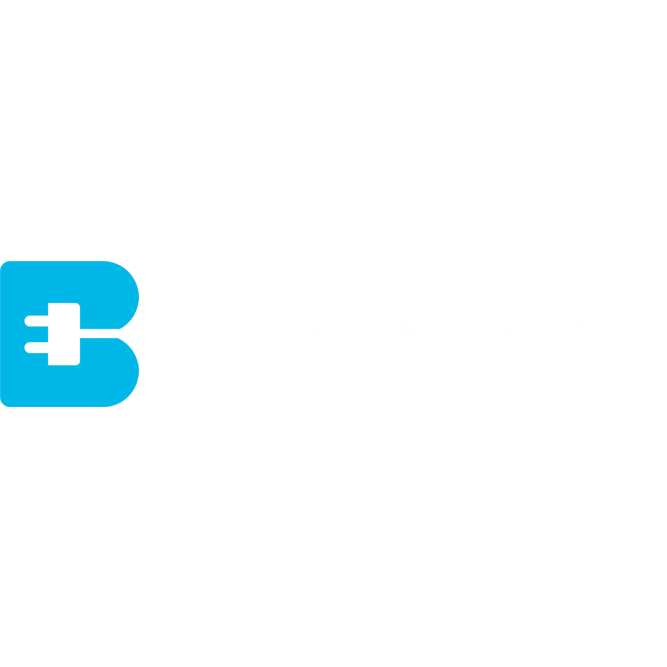 BUDGET ELECTRIC