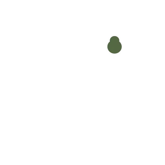 STUDER PROPERTIES LLP