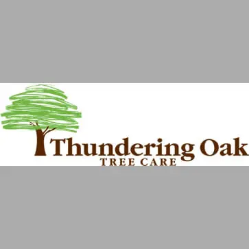 THUNDERING OAK ENTERPRISES INC