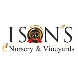 Ison's Nursery & Vineyard