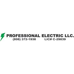 PROFESSIONAL ELECTRIC LLC
