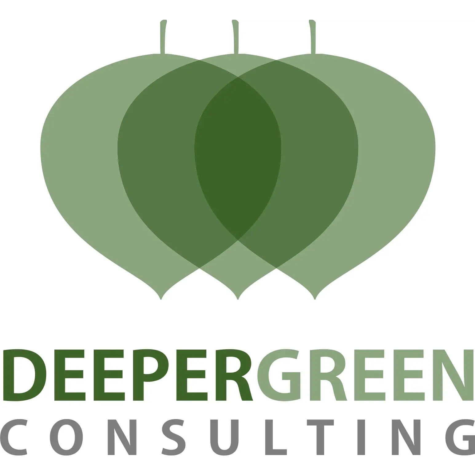 Deeper Green Consulting, Inc.