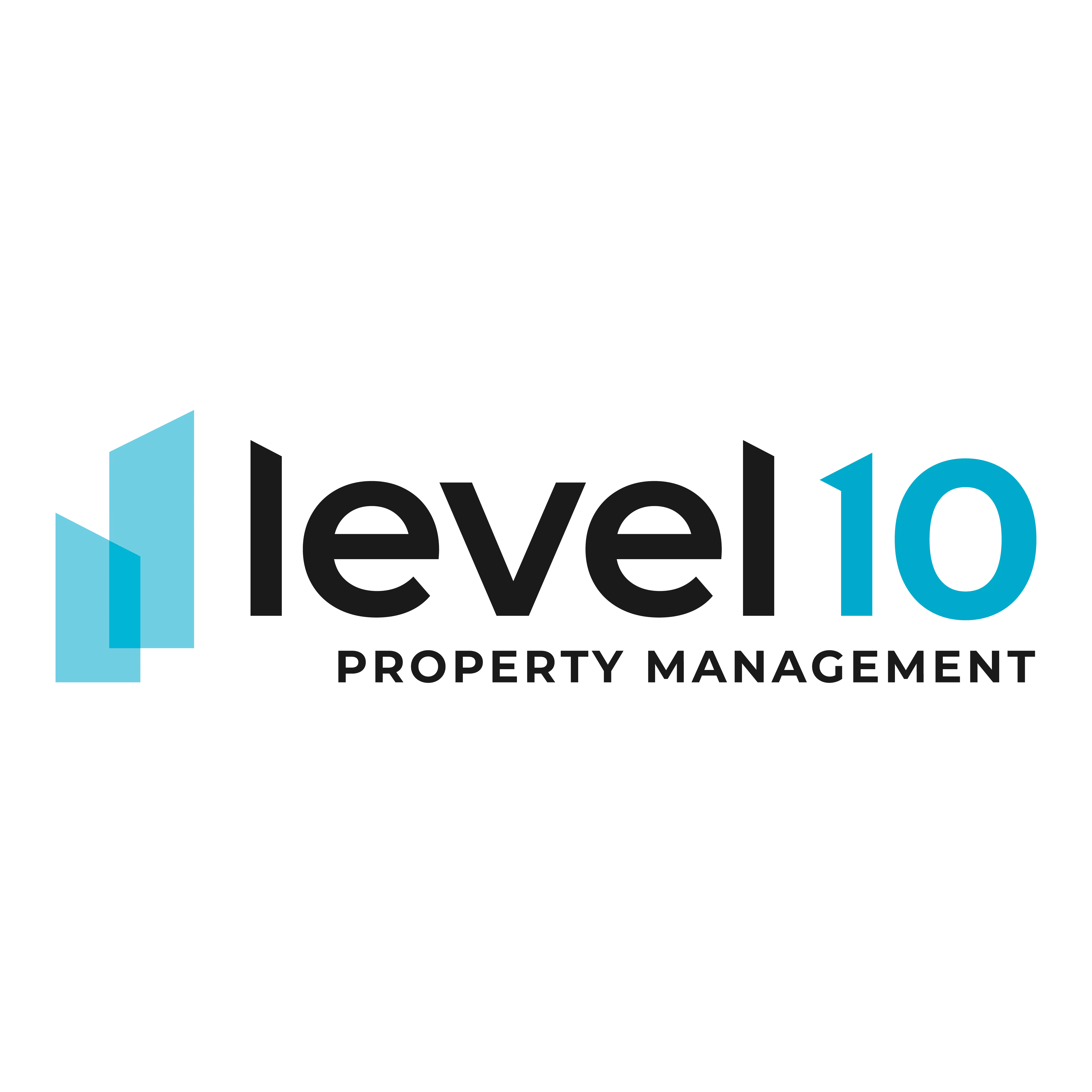 Level 10 Management