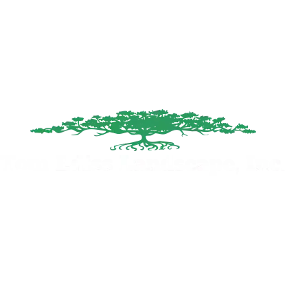 TOM EDISS LANDSCAPE INC