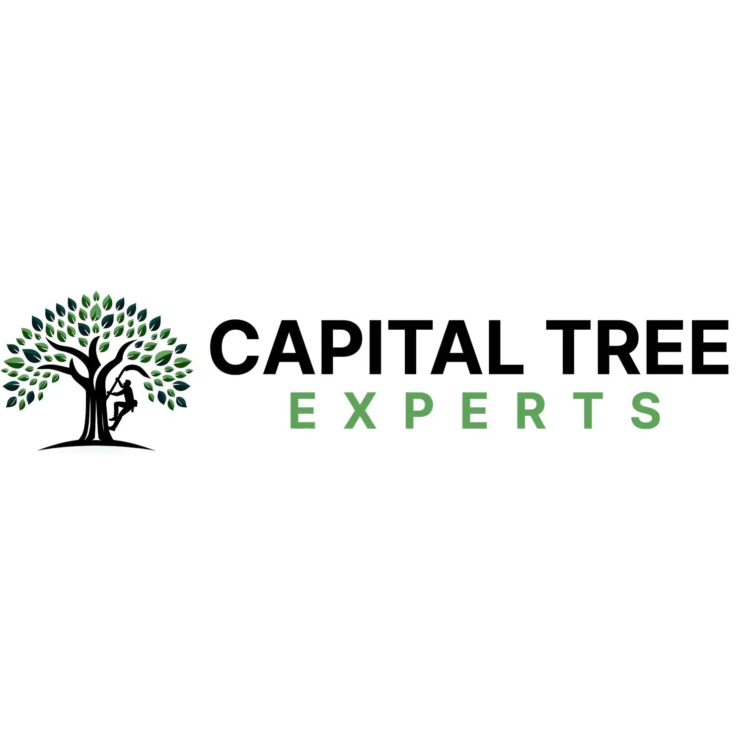 CAPITAL TREE EXPERTS LLC
