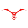ALPHA EAGLE TECHNOLOGY CORP.