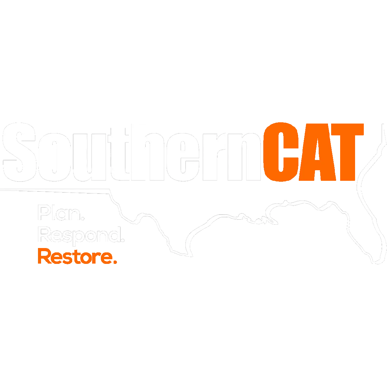 SOUTHERN CAT INC