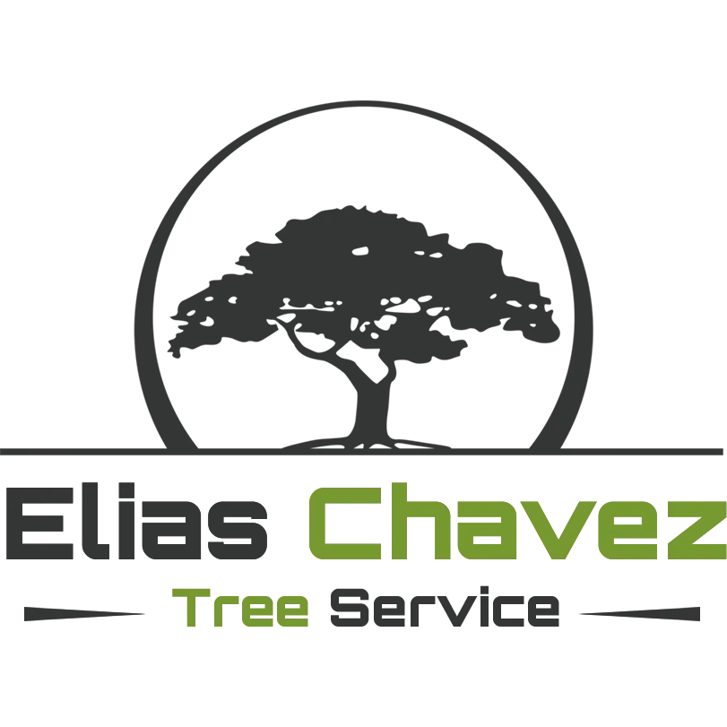 Elias Chavez Tree Service