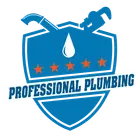 PROFESSIONAL PLUMBING LLC